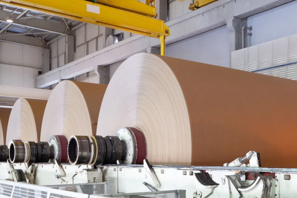 planta de papel y celulosa